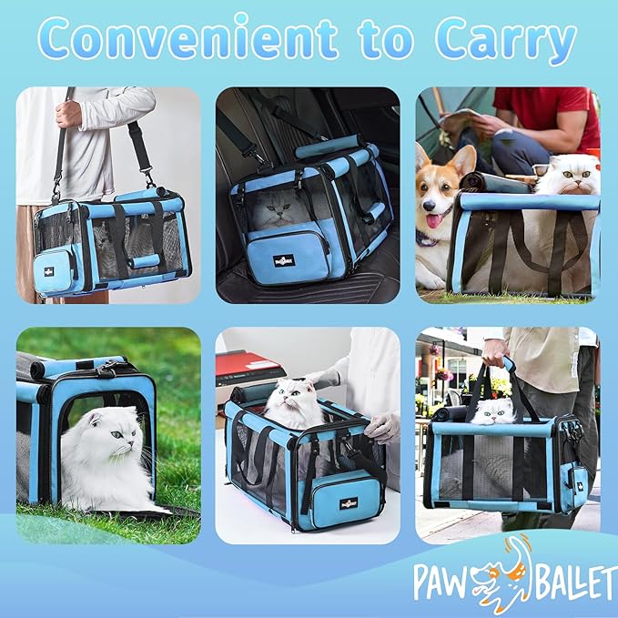 Pet Carrier, Collapsible Airline Approved Dog Cat Carrier, Soft Top Load Cat Carrier Bag for Small Medium Cat & Dog Under 20 lbs, Cat Travel Carrier Bag with Safety Lock Zipper, Blue