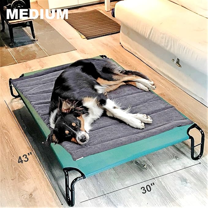 Elevated Dog Bed 43 x 30 x 8 inches