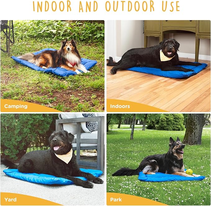 Travel Dog Beds