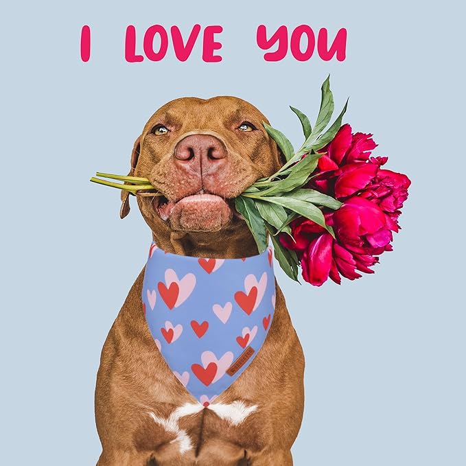 ADOGGYGO Valentine's Day Dog Bandana