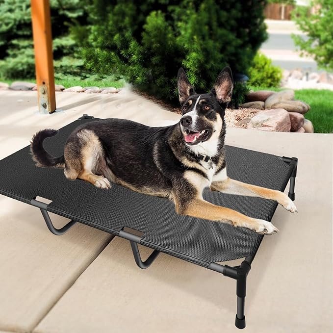 Bestio Elevated Dog Bed 44x32x9 Inch 120 lbs