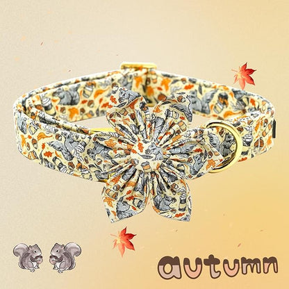 Elegant little tail Fall Dog Collar