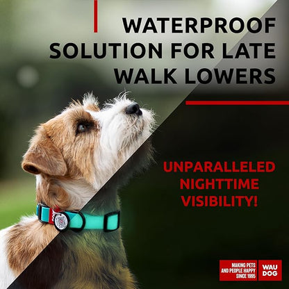 Waterproof Dog Collar (9 3/4" 13 3/4"