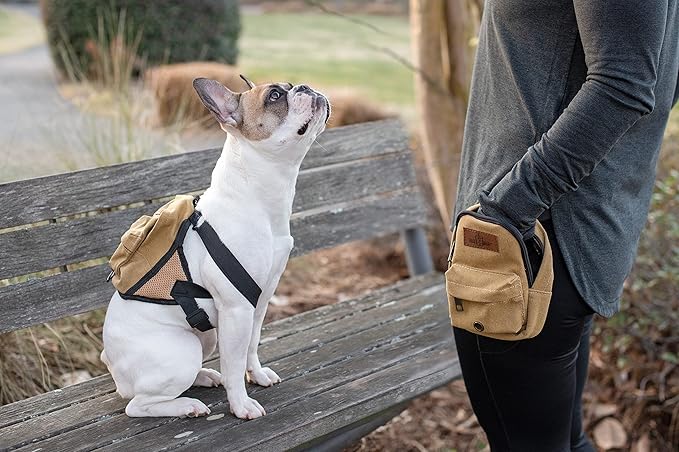 BoxDog Matching Dog Backpack and Pet Treat Pouch | Dog Park Treat Pouch | Dog Treat Pouch with Clip