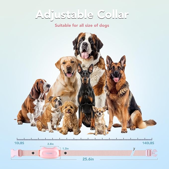 PATPET Dog Training Collar with Remote 2 Dogs 16 Levels