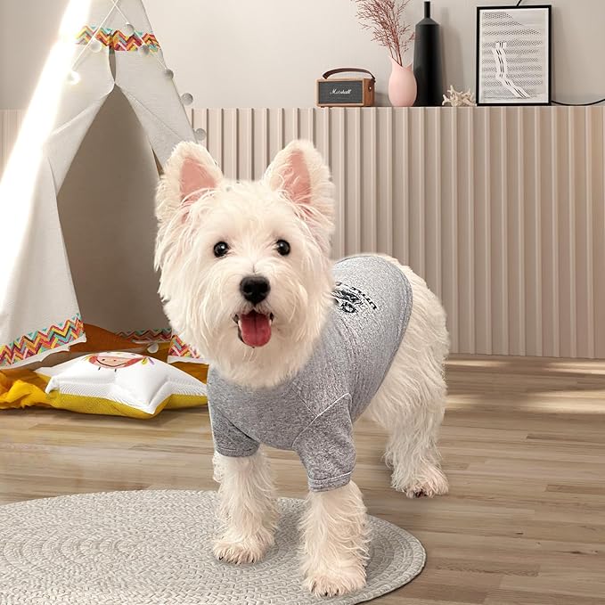 XPUDAC 4 Pack Dog Shirts Soft Boy Dog Clothes for Small Medium Dogs Lightweight Stretchy Classic Tshirt Puppy Outfit Blue-2X-Large