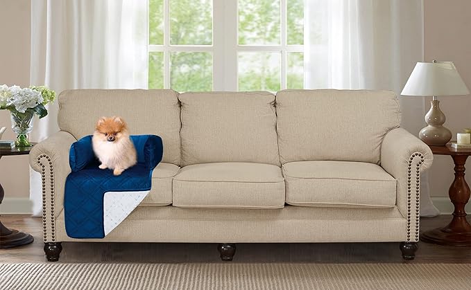 Brilliant Sunshine Premium Blue Silky Velvet Pet Sofa Bed