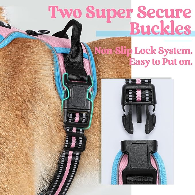 rabbitgoo Dog Harness, No-Pull Pet Harness with 2 Leash Clips, Adjustable Soft Padded Dog Vest, Reflective No-Choke Pet Oxford Vest with Easy Control Handle for Large Dogs, Pink & Blue, S