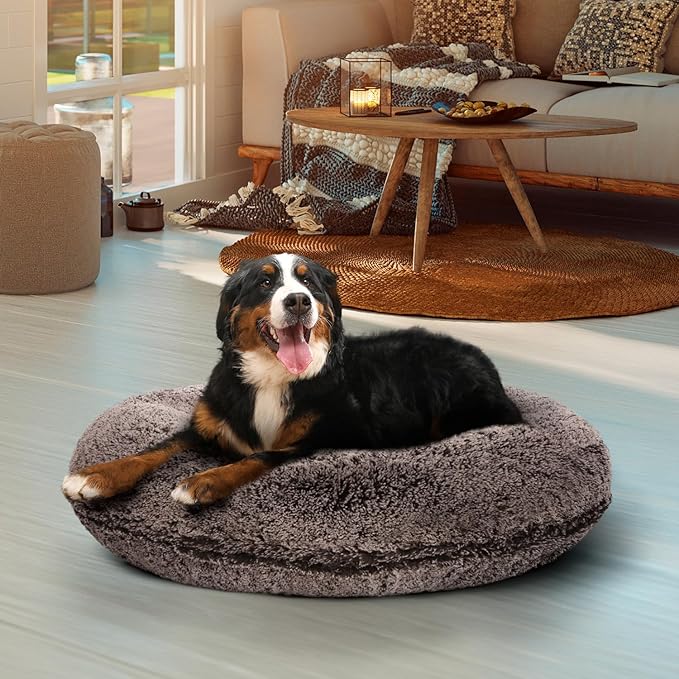 Bessie and Barnie Bagel Donut Dog Bed