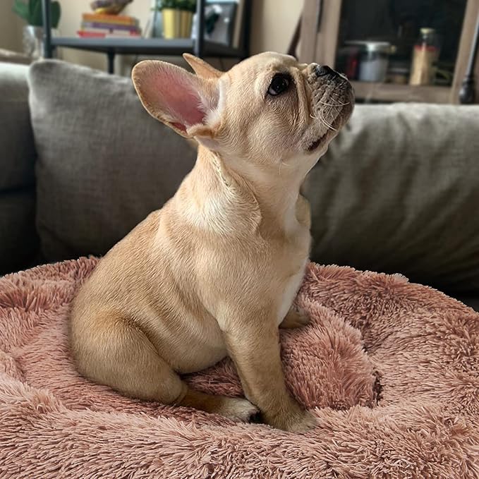 Dog Beds for Medium Dogs Washable Donut French 2 Cats 30 Inches