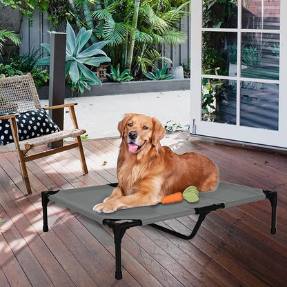 B0D5GYWNRY for Large Dogs