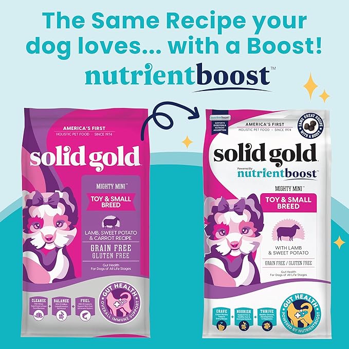 Solid Gold Nutrientboost Mighty Mini Small Breed Dog Food - Dry Dog Food Made with Real Lamb for Any Toy Breed - Grain & Gluten Free Recipe for Gut Health & Sensitive Stomach Support - 3.75 LB Bag