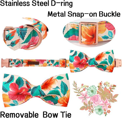 Unique Style Paws Cotton Dog Collar with Bow