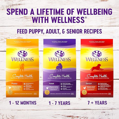 Wellness Complete Health Dry Dog Food with Grains, Natural Ingredients, Made in USA with Real Meat, All Breeds, For Adult Dogs (Healthy Weight - Chicken & Potatoes, 26-Pound Bag)