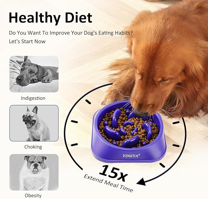 Slow Feeder Dog Bowls Large Breed, Dog Slow Feeder Bowl, Dog Food Bowls Slow Feeder, Dog Bowl Slow Feeder, Dog Bowl That Slow Down Eating(Purple)