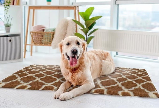 Van Ness Pets Vetbed Dog Bed 39.5" x 29.5"