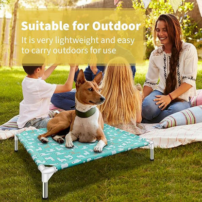 Elevated Dog Bed Pet cot