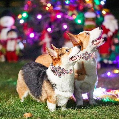 Elegant little tail Dog Collar with Flower