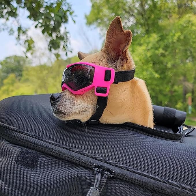 NAMSAN Dog Sunglasses Medium Breed UV Protection Pug Dog Goggles for Small to Medium Dogs Windproof Anti-fog Snowproof Puppy Glasses