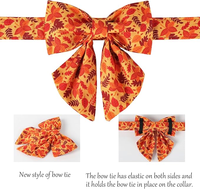 Lionet Paws Dog Collar with Bowtie 16-26in