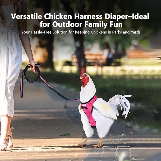 Chicken Harness Hen Size with 6ft Matching Leash – Adjustable, Resilient, Comfortable, Breathable, Small, Suitable for Chicken Weighing About 2.2 Pound,Pink