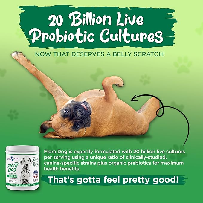 Vital Planet - Flora Dog Probiotic Powder Supplement with 20 Billion Cultures and 10 Strains, High Potency Immune and Digestive Support Probiotics for Dogs, 3.92 oz., 111 Grams, 30 Servings