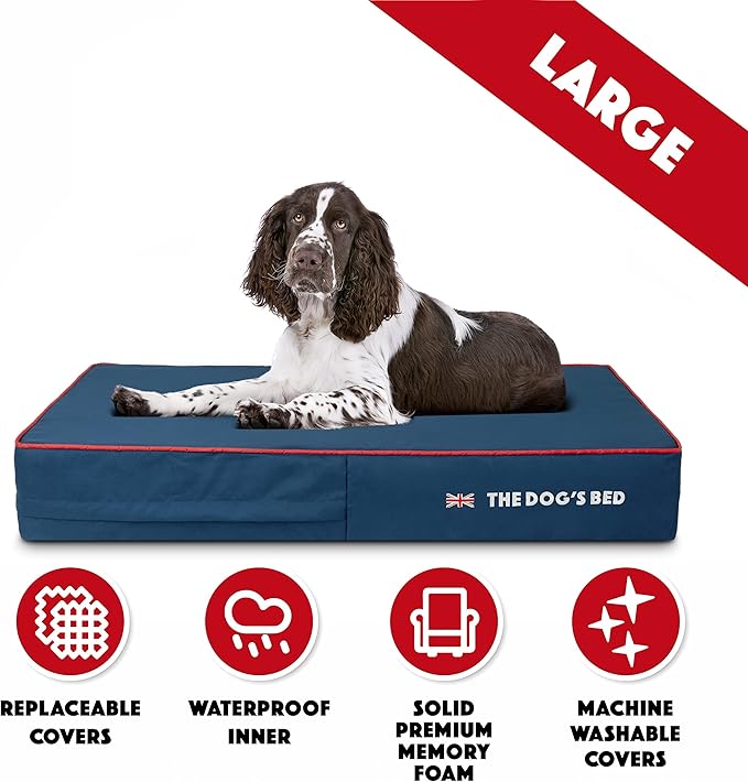 The Dog’s Bed Orthopedic Memory Foam Dog Bed 40x25, Pain