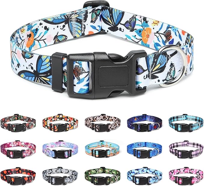 Adjustable Dog Collar with Patterns
