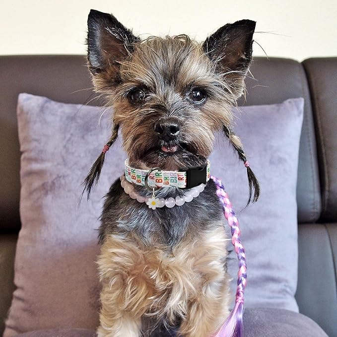 Flower Patterns Dog Collar with Accessories