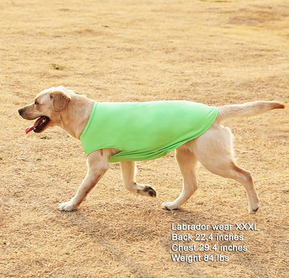 Dog Blank Summer Large Shirts