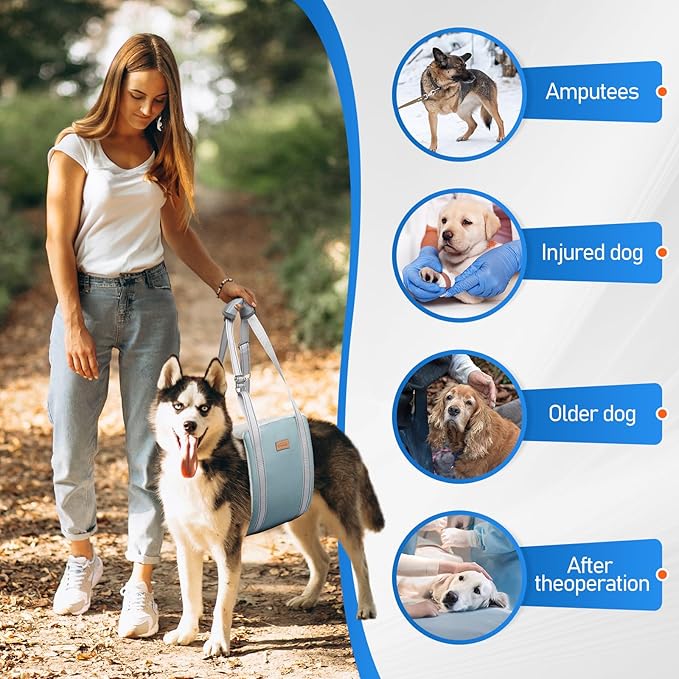 Dog Lift Harness for Small Dogs K9 Cruciate