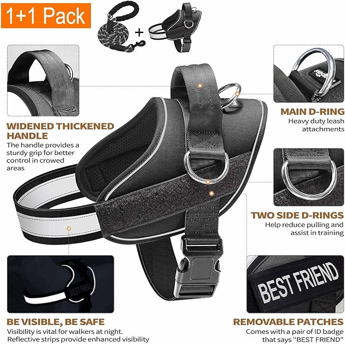 Haapaw Essential Dog Harness, No Pull Pet Vest with 3 Leash Clips, No Choke, Reflective, Adjustable and Padded, for Easy Walking and Training for Small Dogs(XS, Black)