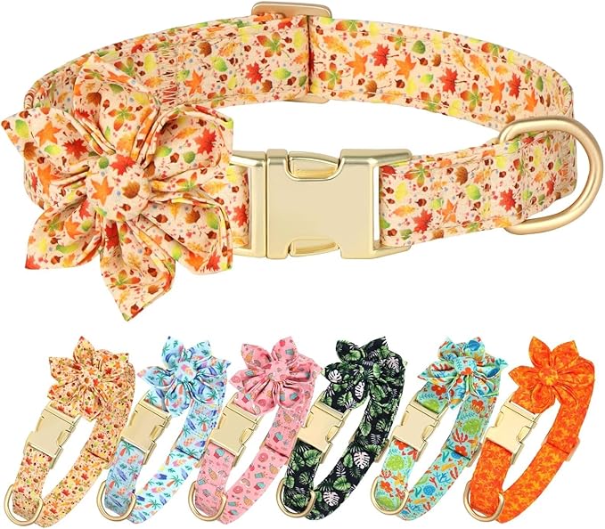 Beirui Cute Girl Dog Collars for Female Dogs