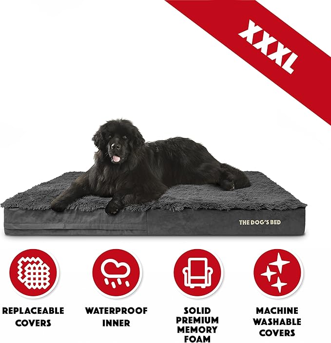 The Dog’s Bed Orthopedic Memory Foam Jumbo Dog Bed 64x44, Pain