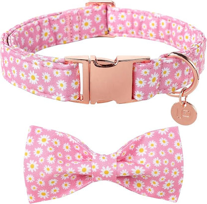 Summer Dog Collar with Bow Tie 16-26in
