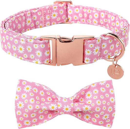 Summer Dog Collar with Bow Tie 16-26in
