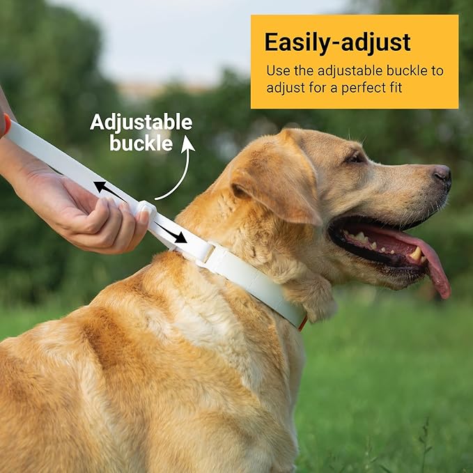 SVD.PET Dog Prong Collar for No-Pull Training