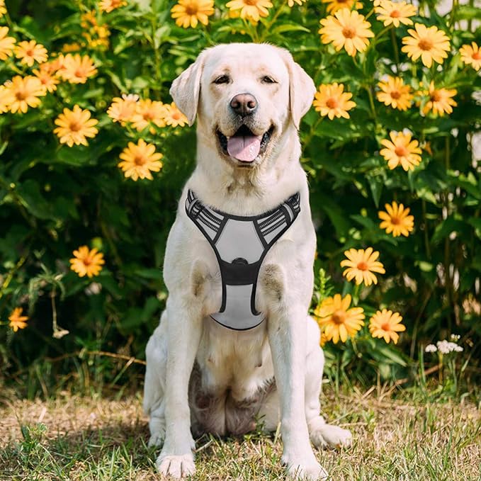 rabbitgoo Dog Harness 2 Leash