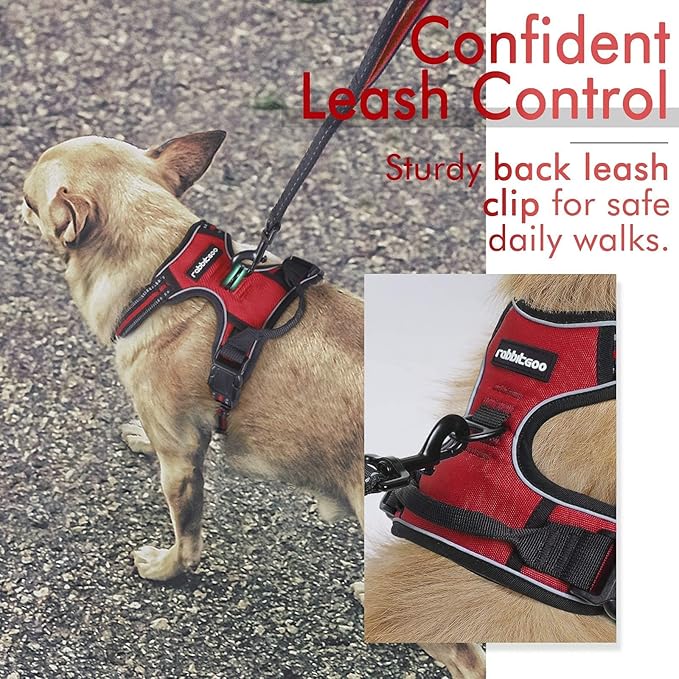 rabbitgoo Dog Harness, No-Pull Pet Harness with 2 Leash Clips, Adjustable Soft Padded Dog Vest, Reflective No-Choke Pet Oxford Vest with Easy Control Handle for Small Dogs, Red, S