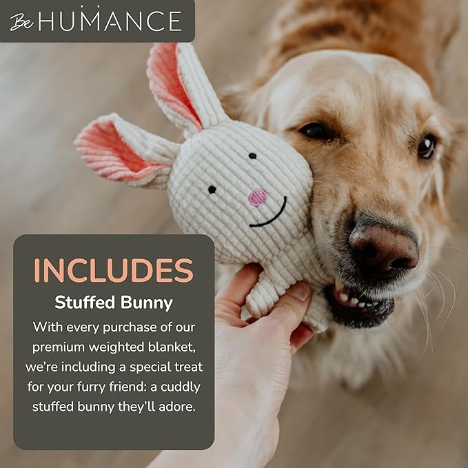 Calming Weighted Dog Blanket for Anxiety Relief