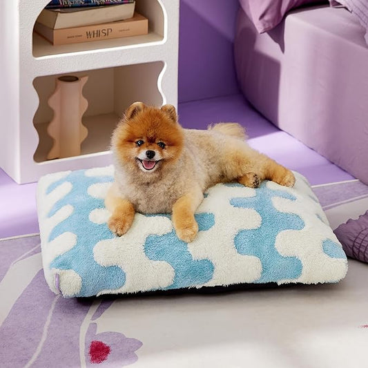 Lesure Small Dog Beds-Thick Shredded Chopped Foam Pet Bed Bottom(24'x16', Blue