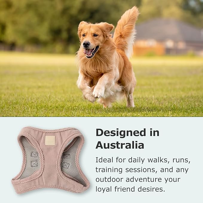 FuzzYard Life Corduroy Step in Dog Harness