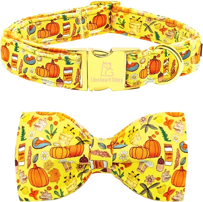 Lionheart glory Fall Dog Collar with Bowtie Halloween