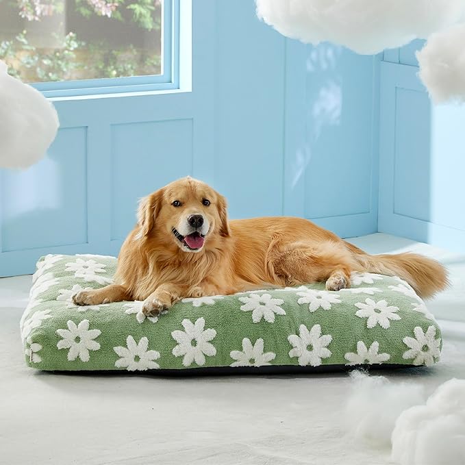 Lesure Extra Large Dog Bed-Thick Shredded Chopped Foam Pet Bed Bottom(44x32', Green)