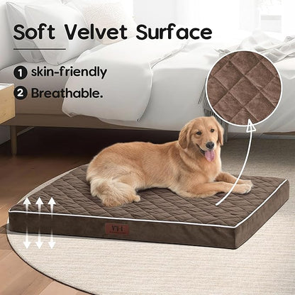 Orthopedic Dog Beds for Large Dogs with Removable Washable Cover 42 inch,