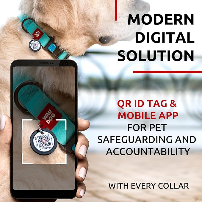 Waterproof Dog Collar (14 1/2" 22" Neck,