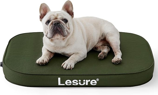 Lesure Inflatable Waterproof Dog Bed for Medium Dogs 3 Inch