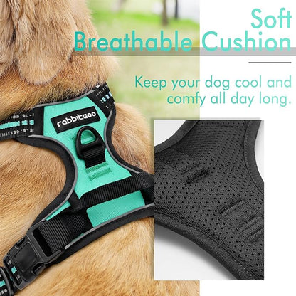 rabbitgoo Dog Harness 2 Leash
