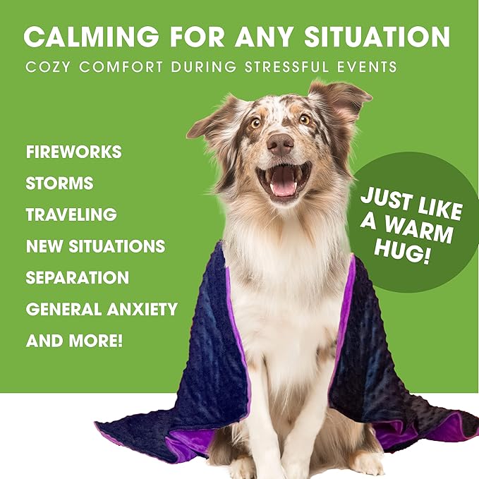 BARMY Weighted Blanket for Dogs with Washable Cover (3 Sizes) Thunder Blankets for Dogs