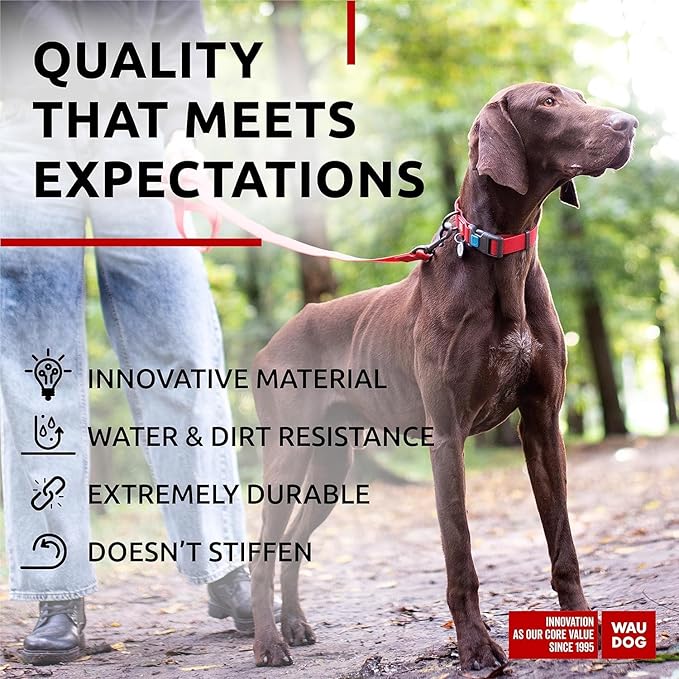 WAUDOG Waterproof Dog Collar